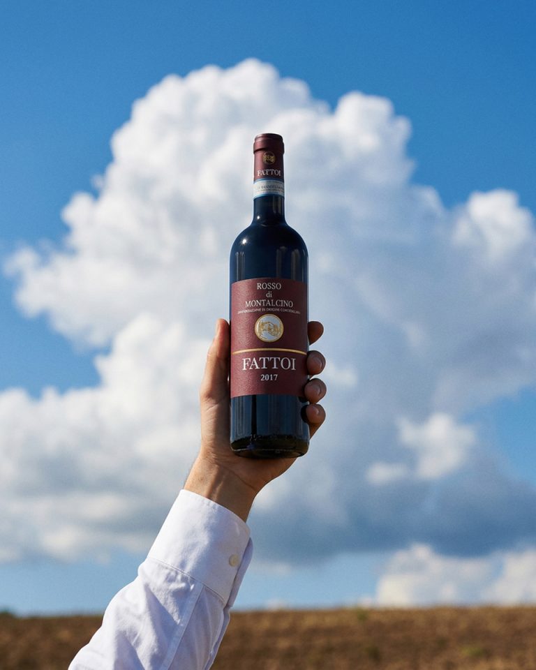Bouteille de vin rouge tenue à bout de bras devant un gros cumulus, au-dessus d'une parcelle après vendange